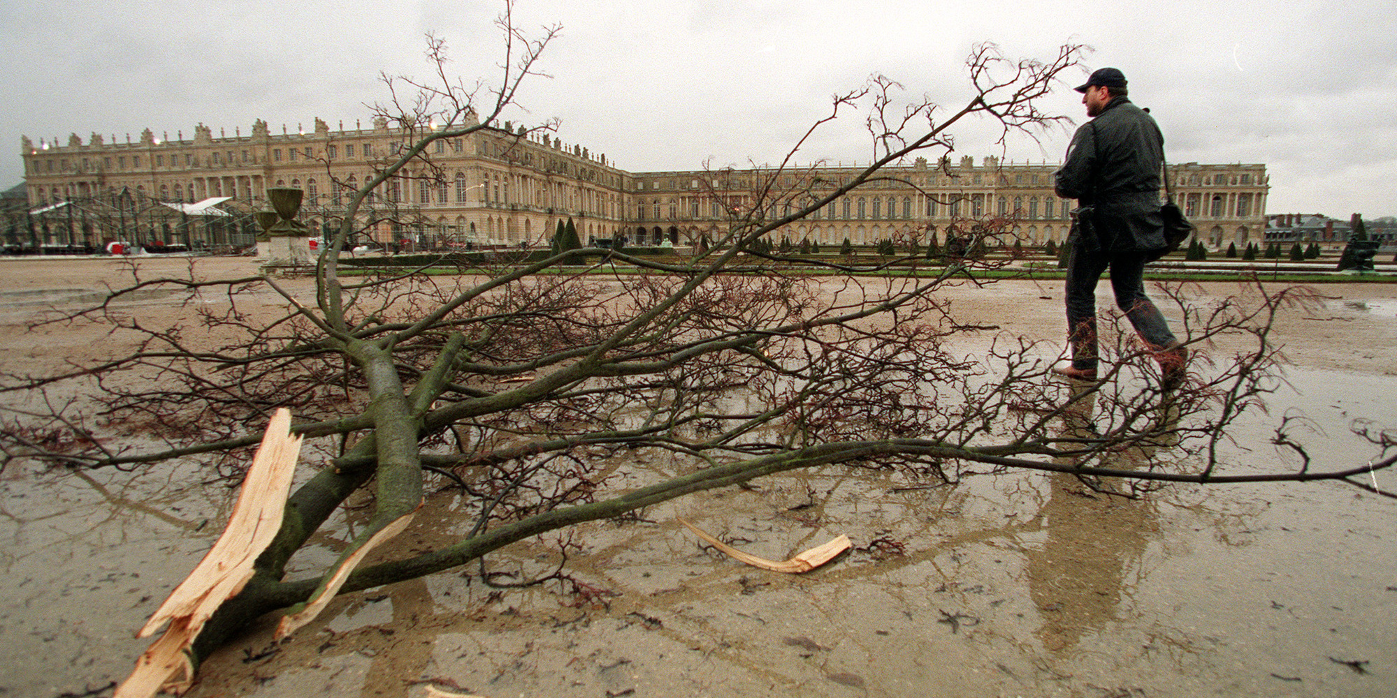 Tempete De 1999 Des Tourbillons Ont Ravage Les Jardins Du