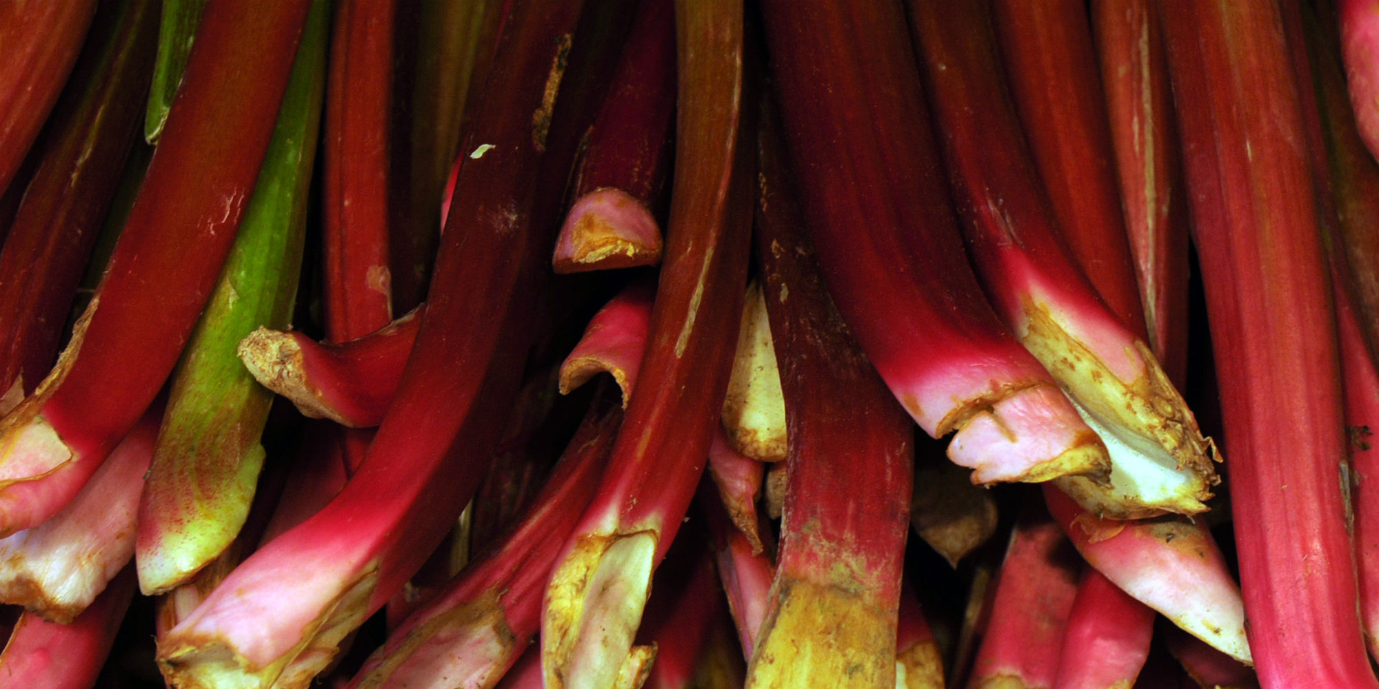 Trois Bonnes Idees Pour Cuisiner La Rhubarbe