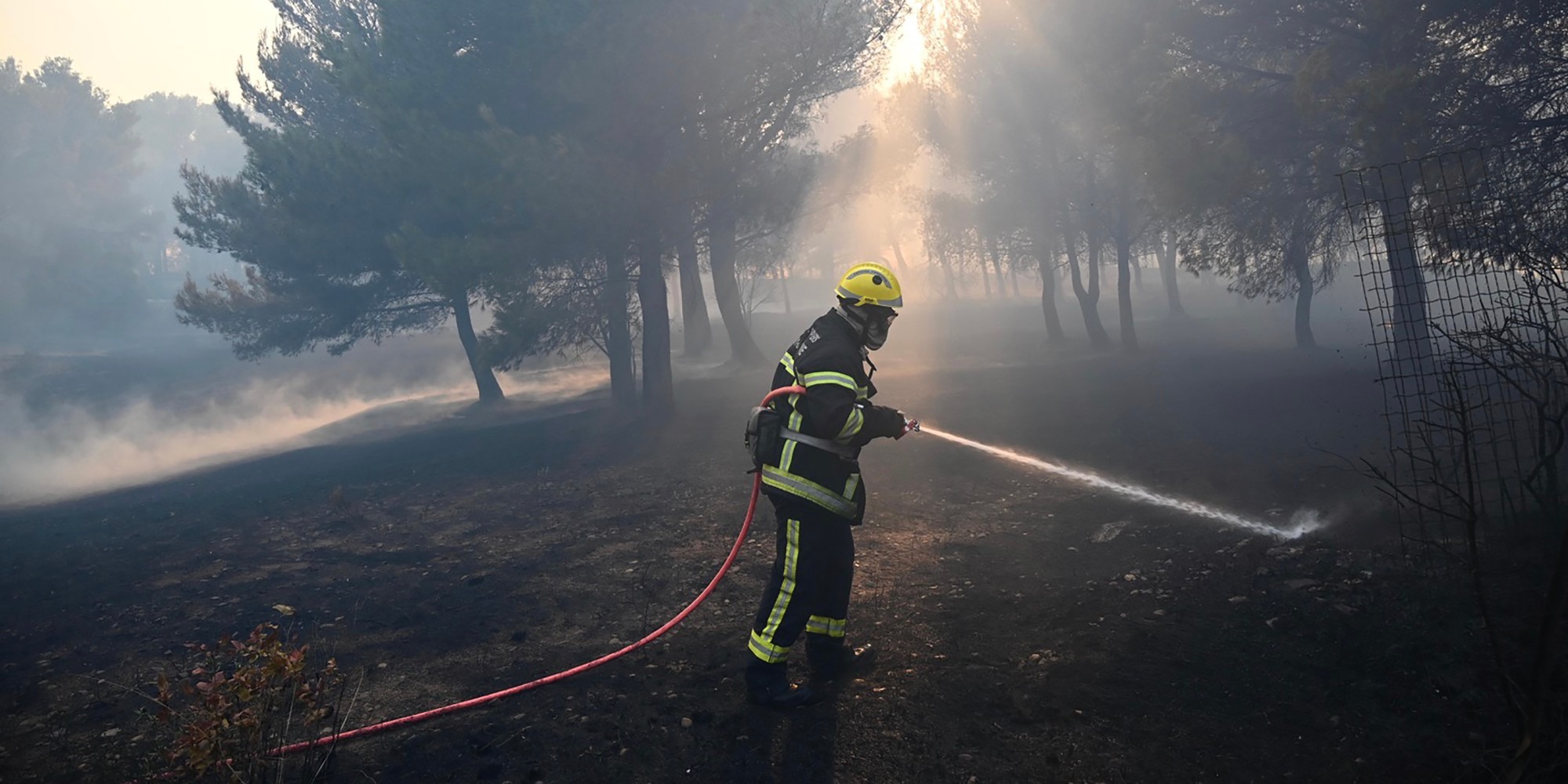 Violent feu de forêt sur la Côte d'Azur, des milliers de ...