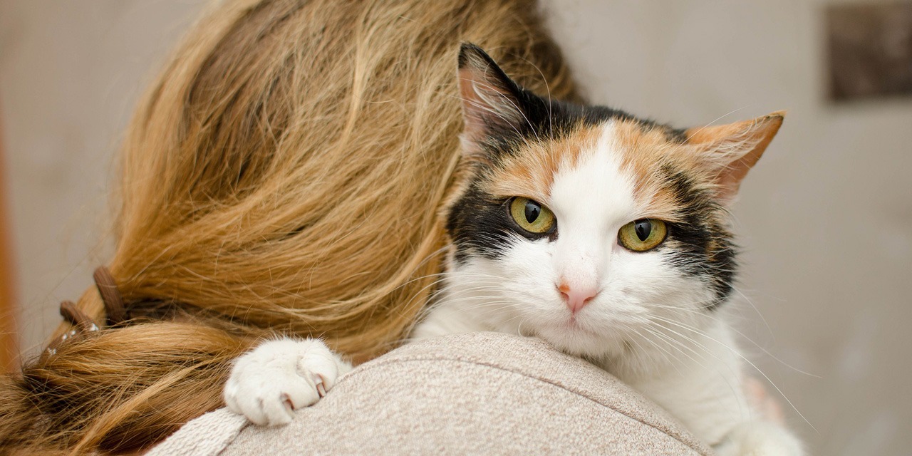 Anxiete Colere Maladies Comment Le Contact Avec Les Animaux Peut Ameliorer Notre Bien Etre Anxiete Colere Maladies Comment Le Contact Avec Les Animaux Peut Ameliorer Notre Bien Etre