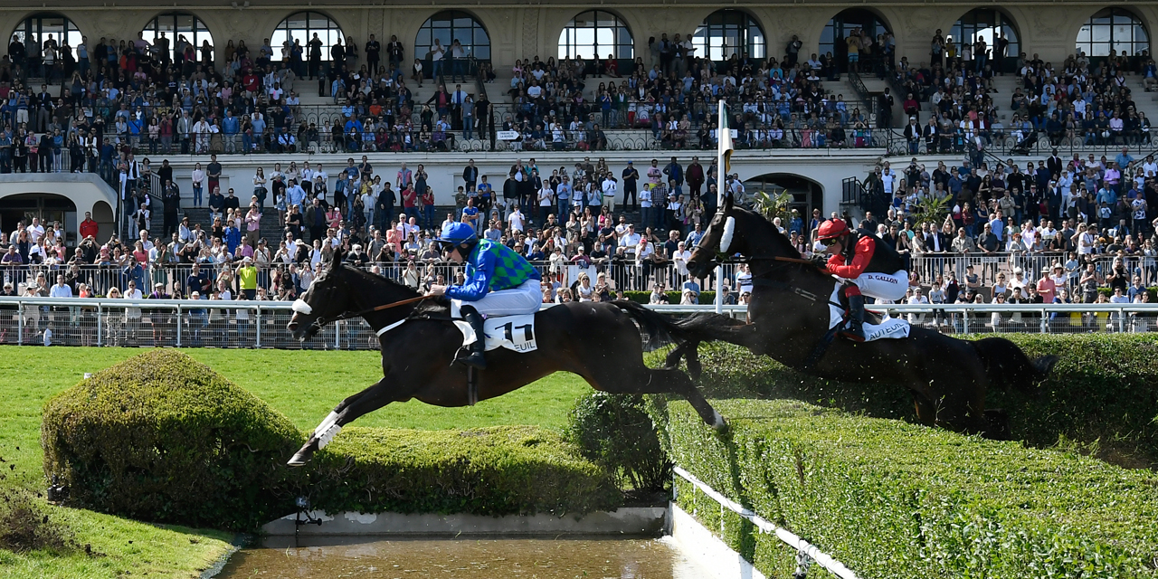 Un Entra neur Reconnu De Chevaux De Course Soup onn De Dopage Mis En 